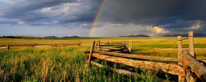 Mountain & Prairie